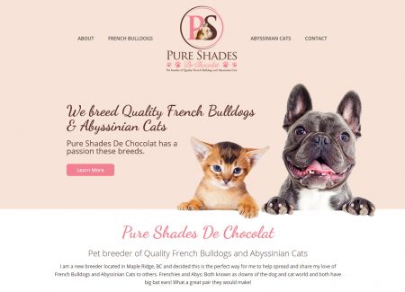 Pure Shades De Chocolat